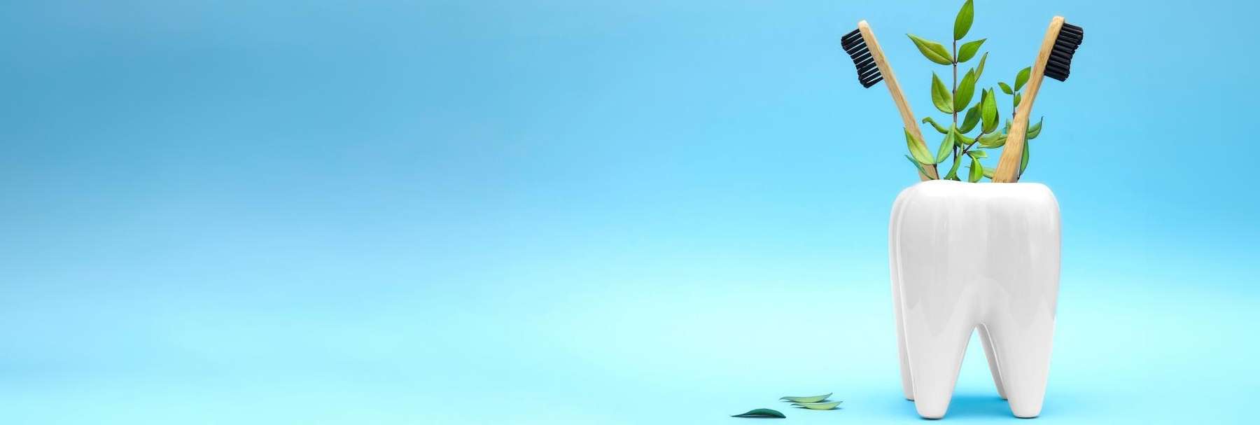 General/Biological Dentistry | Dentist